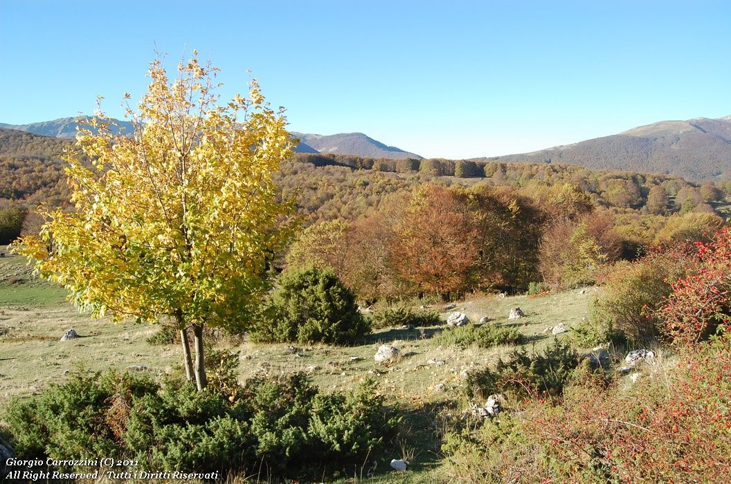 Torricella Nord (2071 m) e Torricella Sud (2098 m) dal Valico della Chiesola di Lucoli