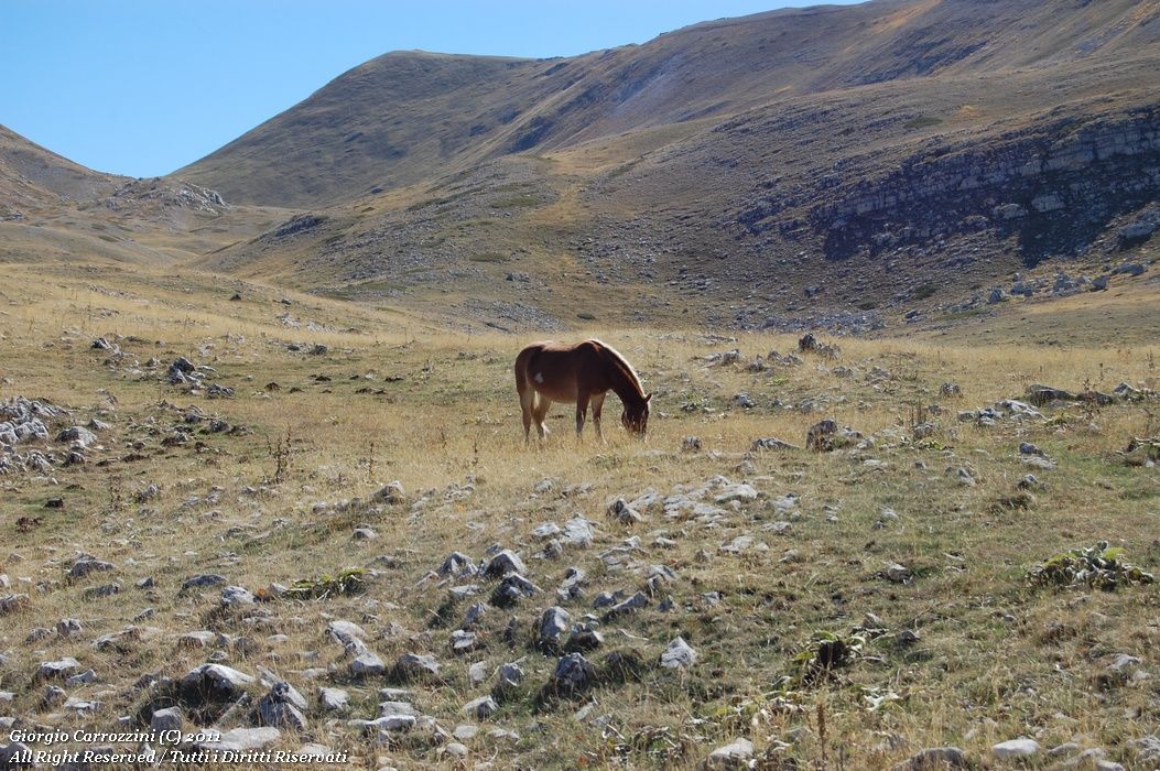 Torricella Nord (2071 m) e Torricella Sud (2098 m) dal Valico della Chiesola di Lucoli