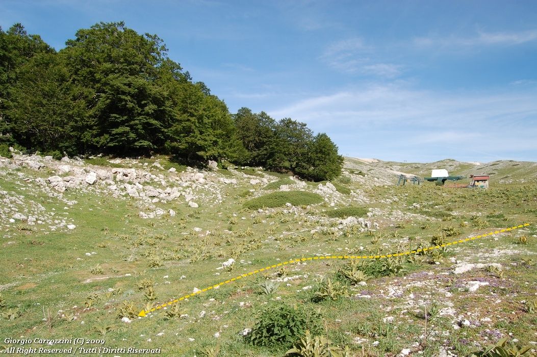 Monte Cotento (2015 m) da Campo Staffi