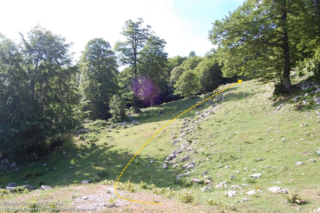 Monte Cotento (2015 m) da Campo Staffi