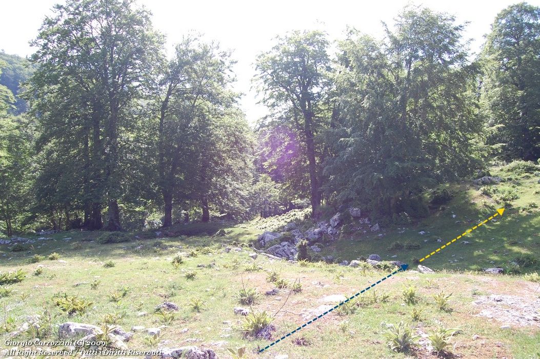 Monte Cotento (2015 m) da Campo Staffi
