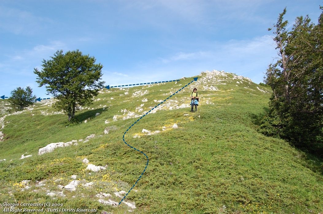 Monte Cotento (2015 m) da Campo Staffi