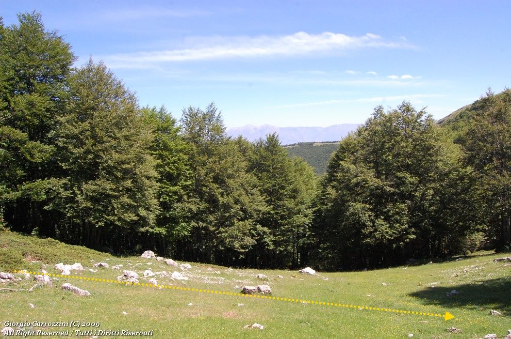 Monte Cotento (2015 m) da Campo Staffi