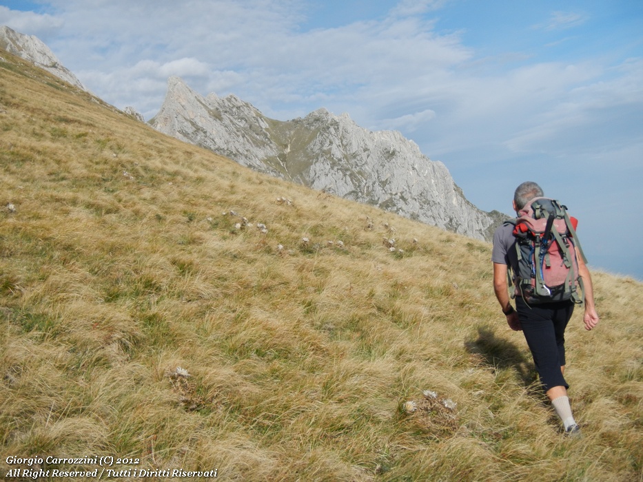 Dente del Lupo (2297 m)