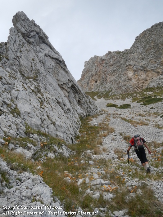 Dente del Lupo (2297 m)