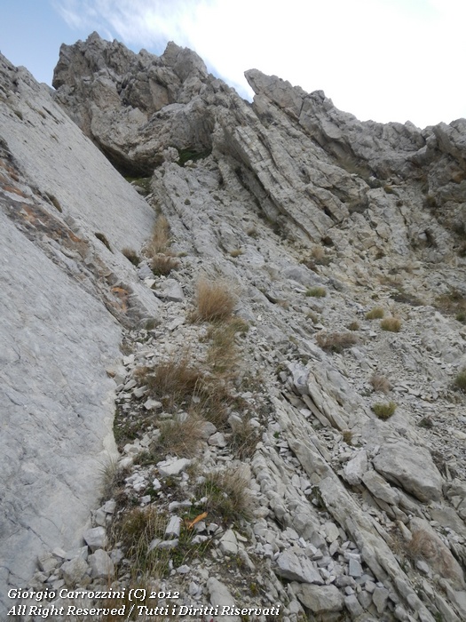 Dente del Lupo (2297 m)