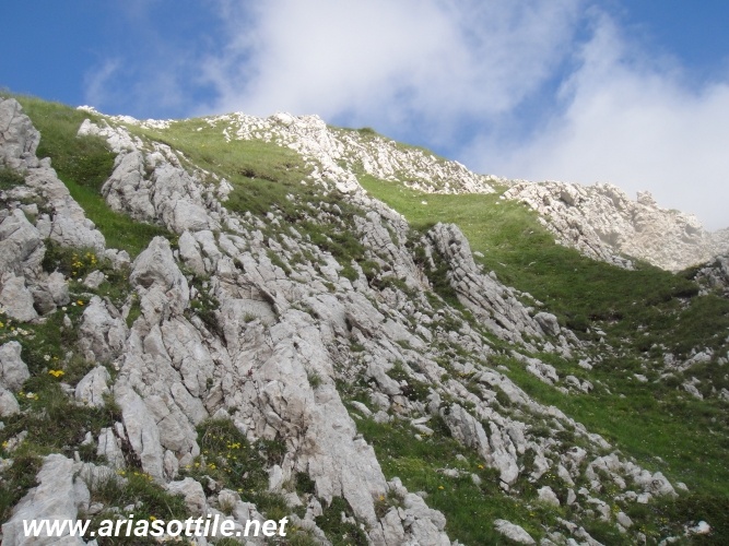 Dente del Lupo (2297 m)