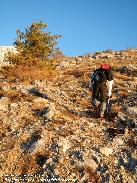 Escursione a Cimata Fossa dei Cavalli (2301 m) da Forme