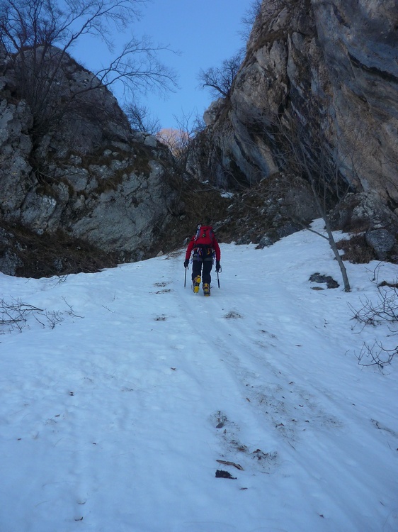Costa della Sentina (Alpinistica PD-)
