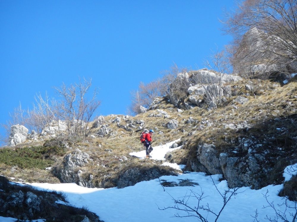 Costa della Sentina (Alpinistica PD-)