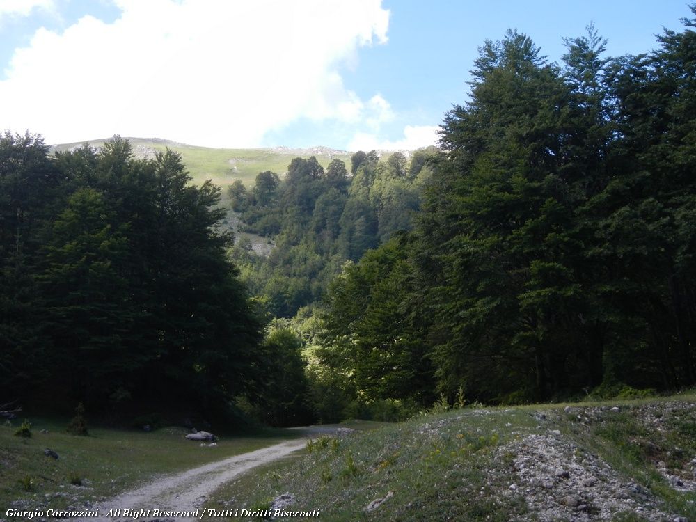 Escursione a Monte Piano con i Bambini  (Zona Monte Viglio)