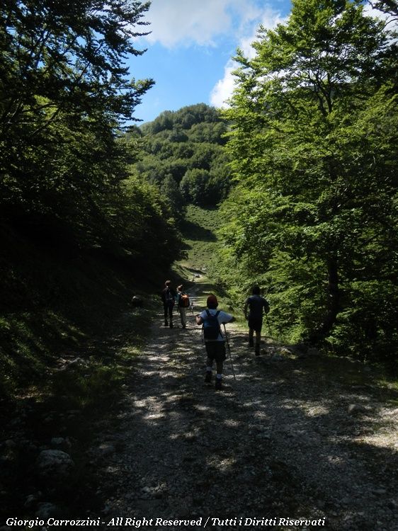 Escursione a Monte Piano con i Bambini  (Zona Monte Viglio)