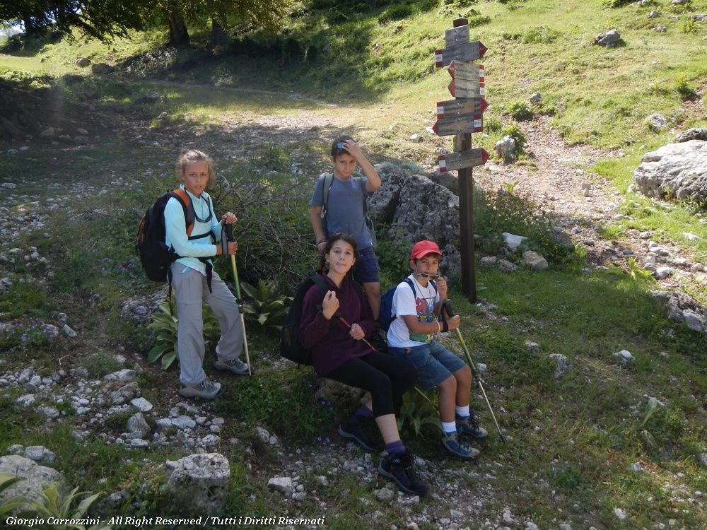 Escursione a Monte Piano con i Bambini  (Zona Monte Viglio)