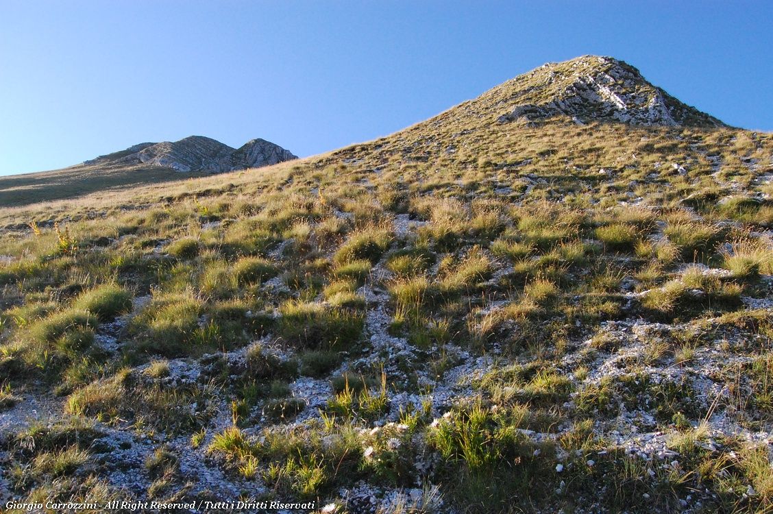 Escursione facile a Monte Acuto (2035 mt)