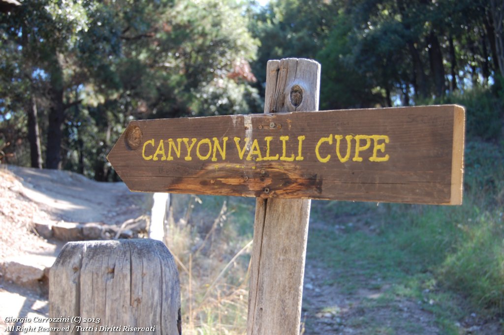 Canyon Valli Cupe
