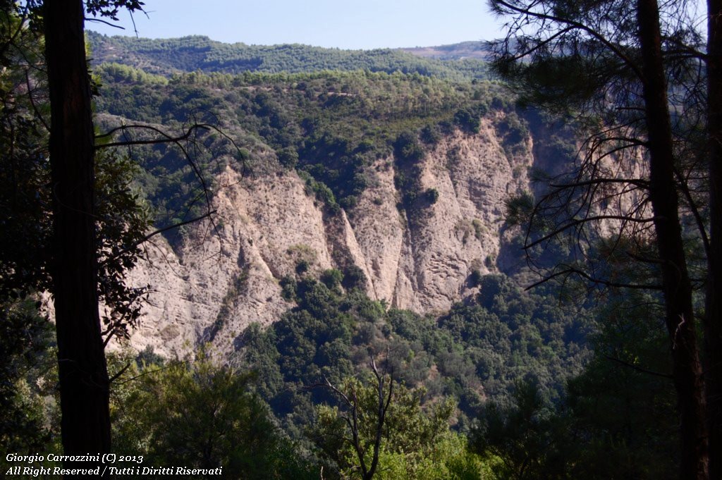 Canyon Valli Cupe