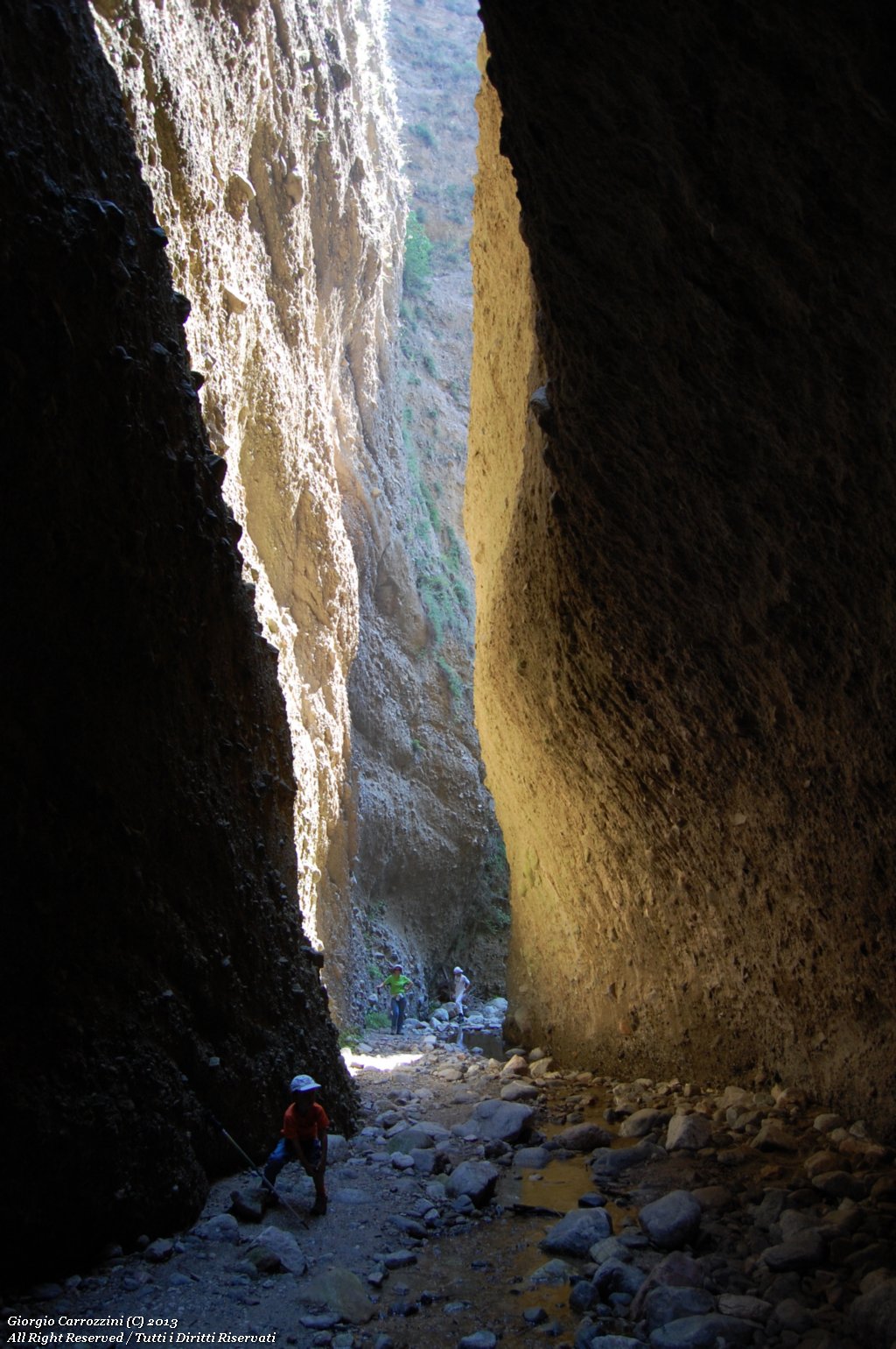 Canyon Valli Cupe