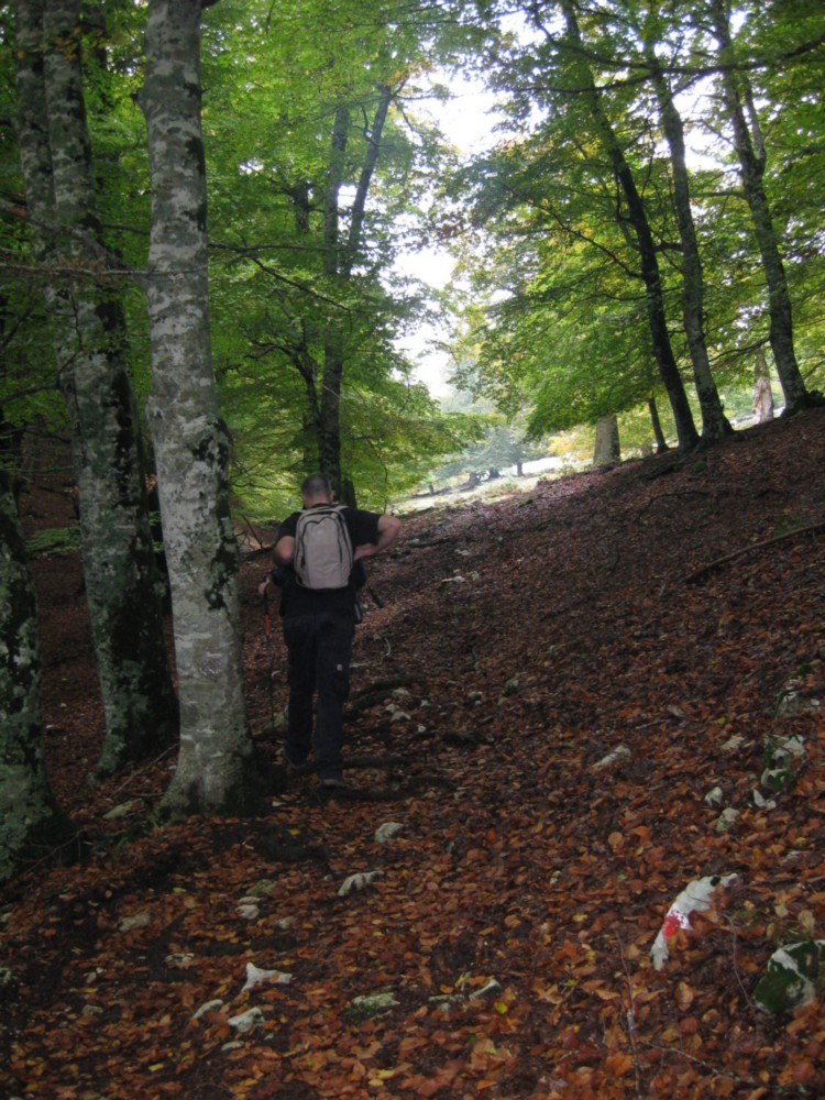 Monte Capreo in Slow Walking