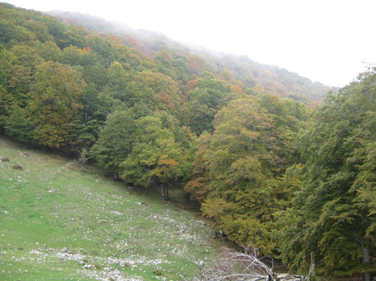 Monte Capreo in Slow Walking