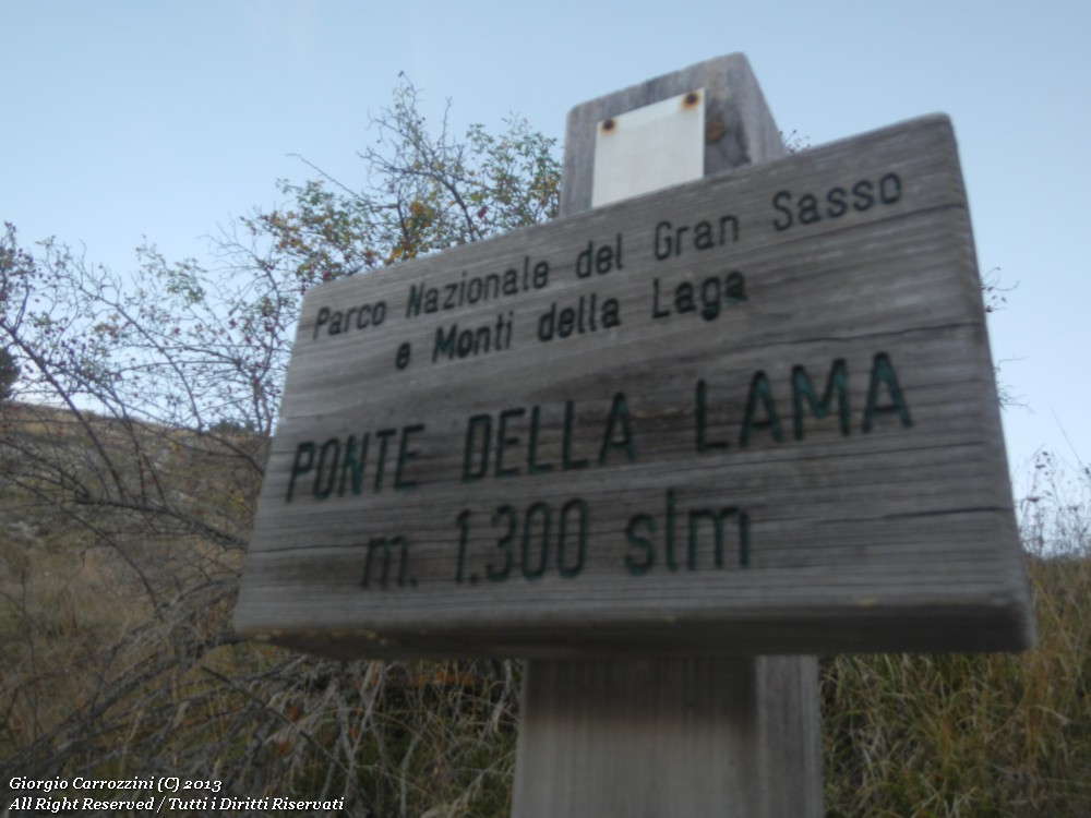 Le Ali degli Angeli