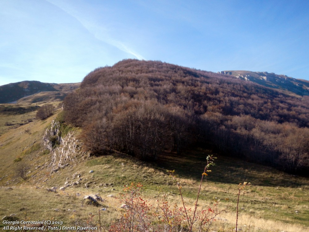 Le Ali degli Angeli