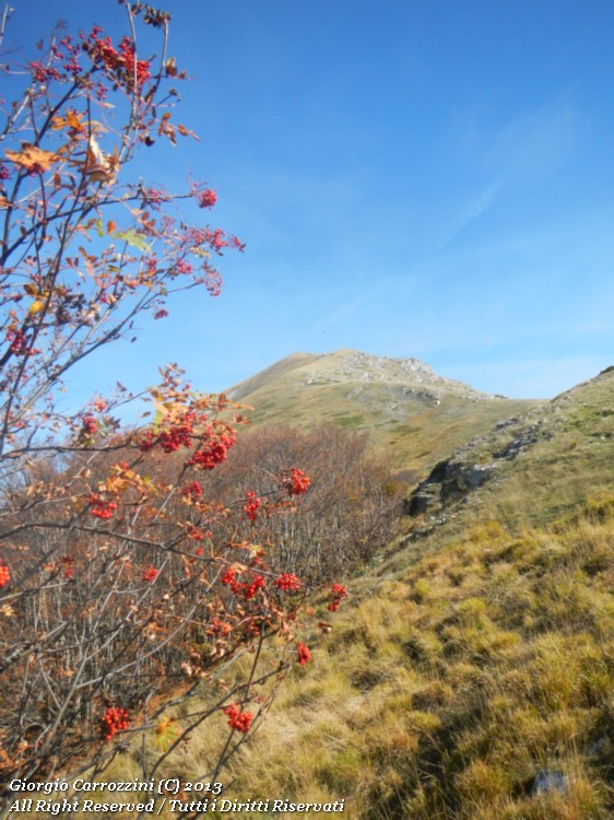Le Ali degli Angeli