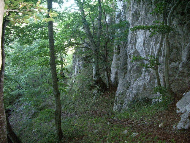 La Grotta del Gesso una meraviglia nel Parco Regionale del Matese