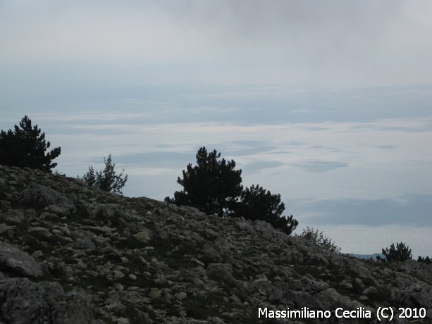 Monte Petrella (1553m)