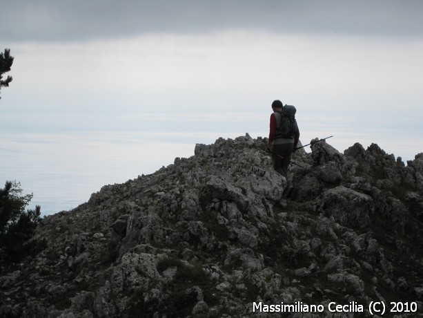Monte Petrella (1553m)