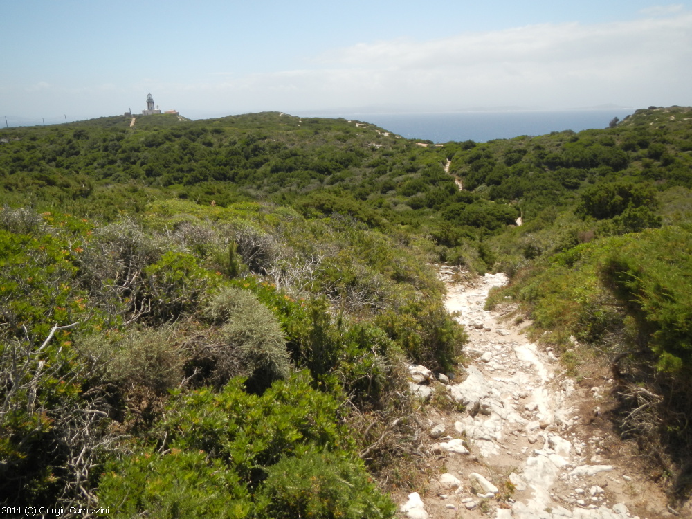 "U Pertusato" delle Bocche di Bonifacio (Corsica)