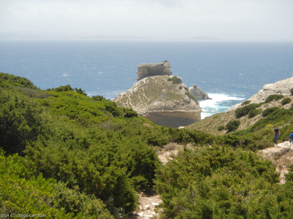 "U Pertusato" delle Bocche di Bonifacio (Corsica)