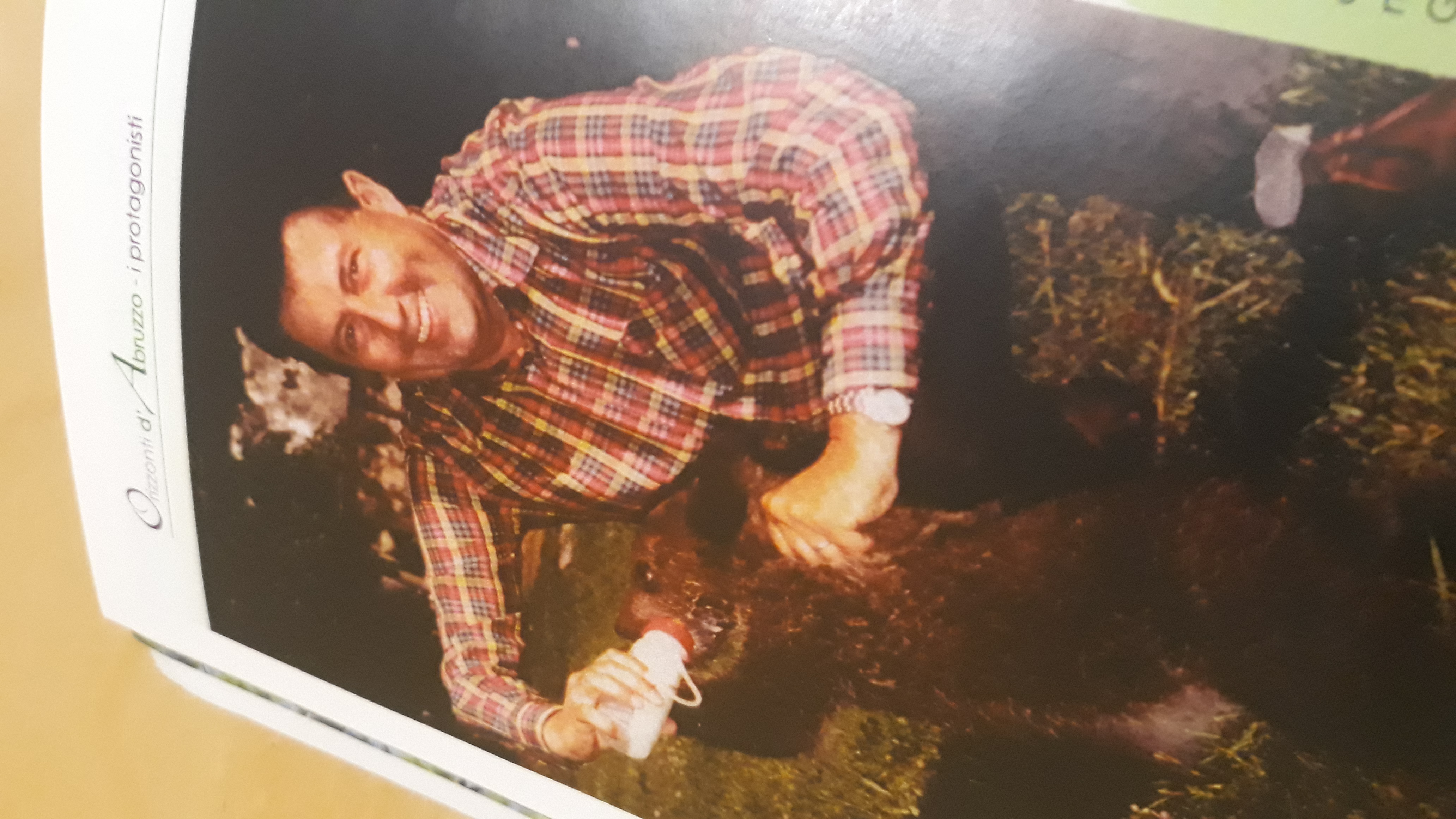 “Orso Marsicano Signore della Montagna” di Franco Tassi