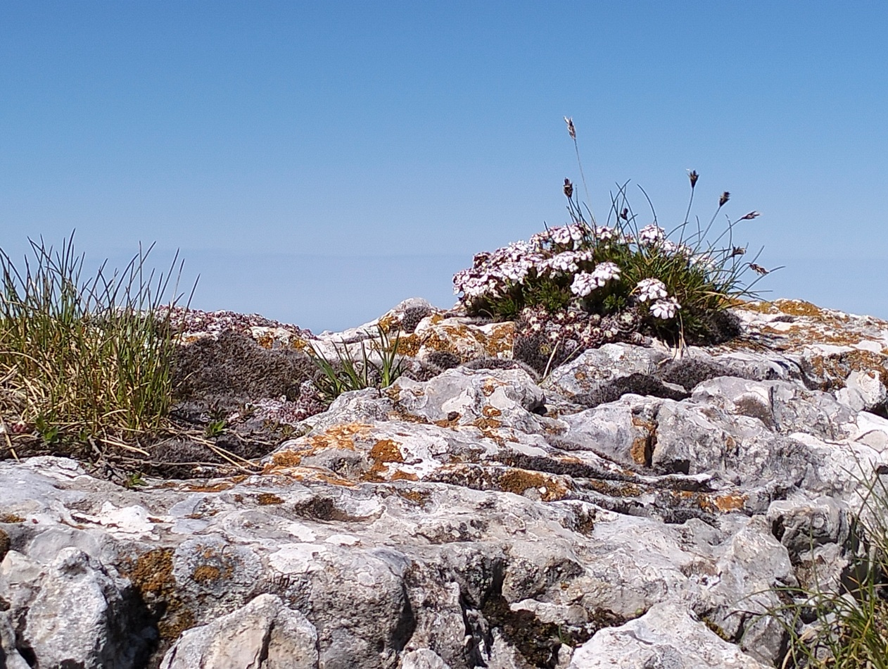 La Storia dei Tre Sassi – Monte Autore, 1854 mt