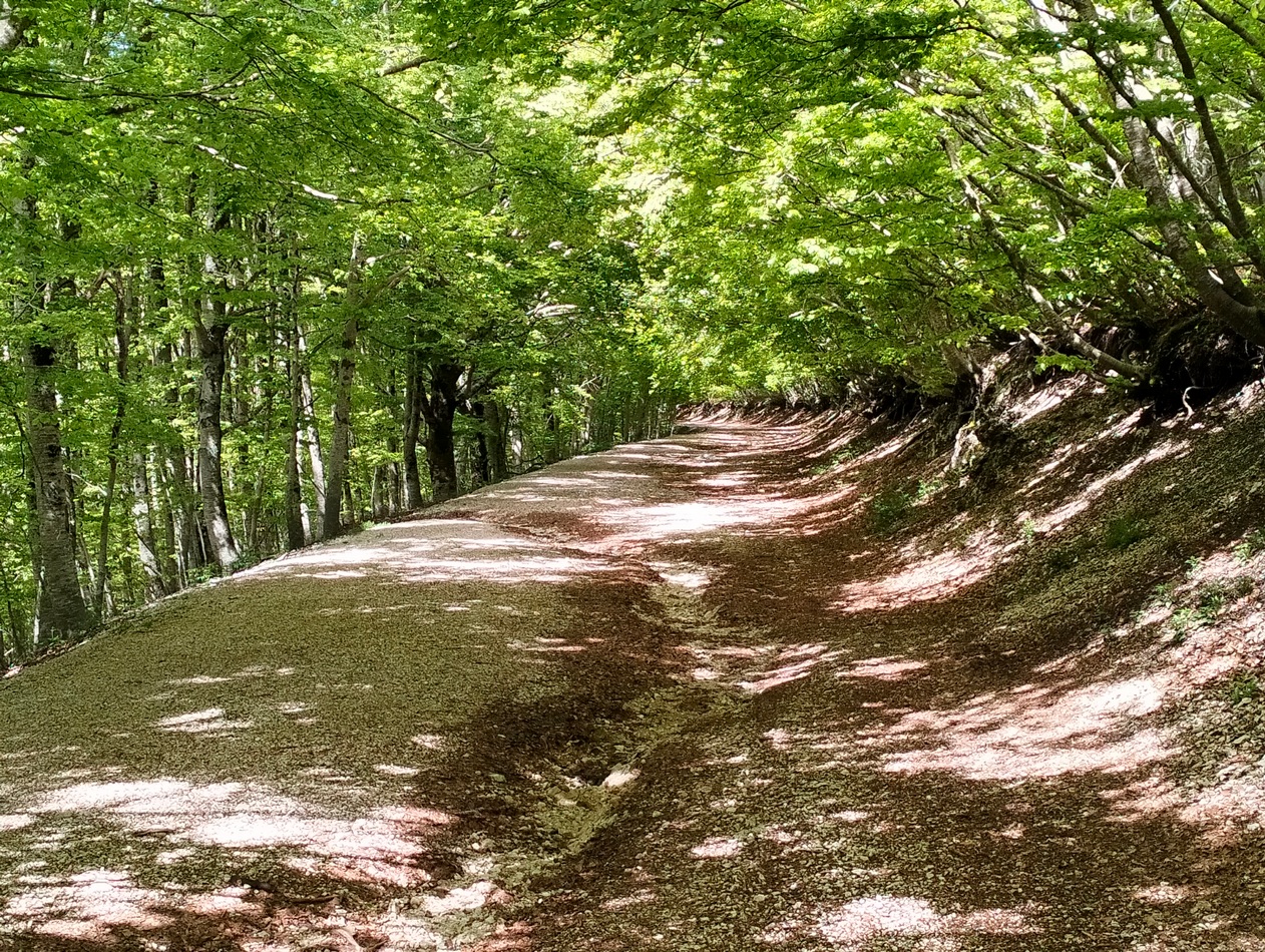 La Storia dei Tre Sassi – Monte Autore, 1854 mt