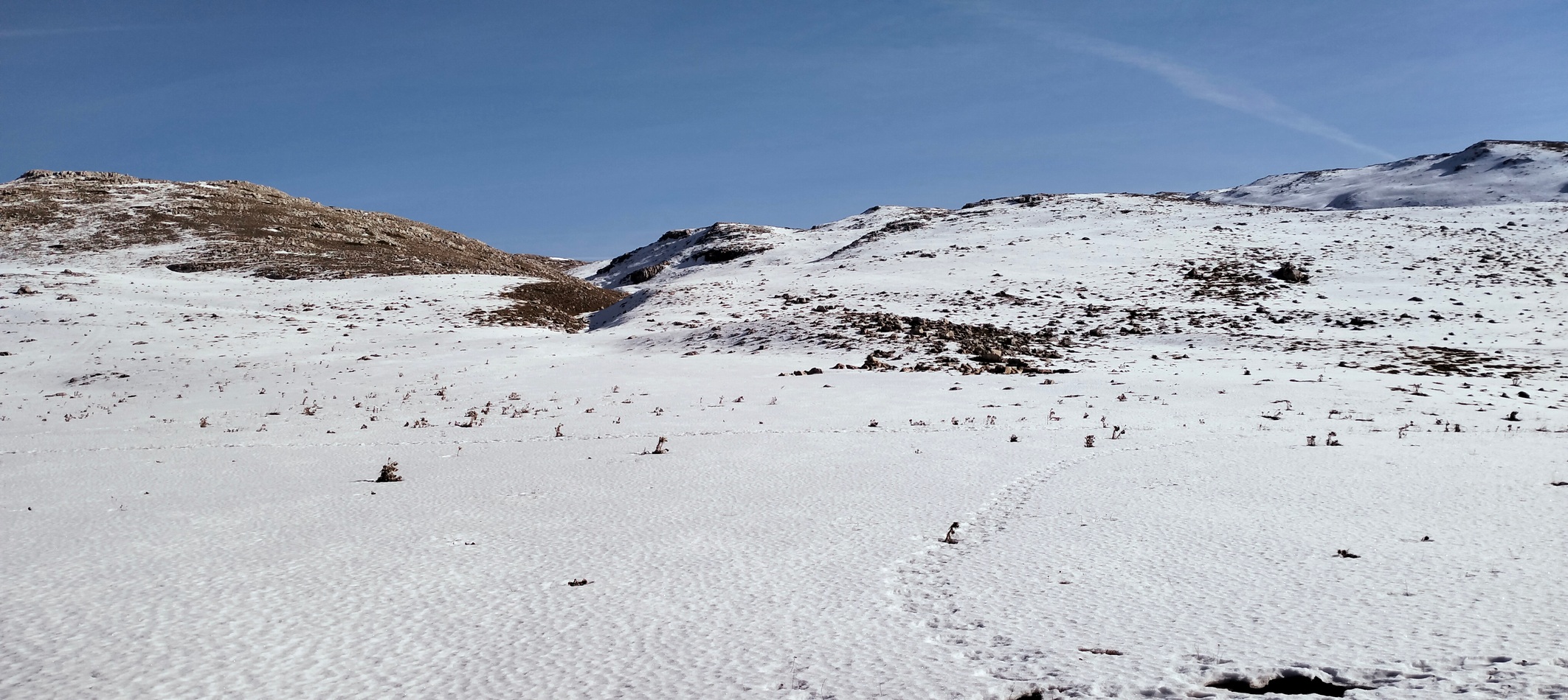 Pizzo Bucci (mt. 2083) e Monte Cefalone (mt. 2128)