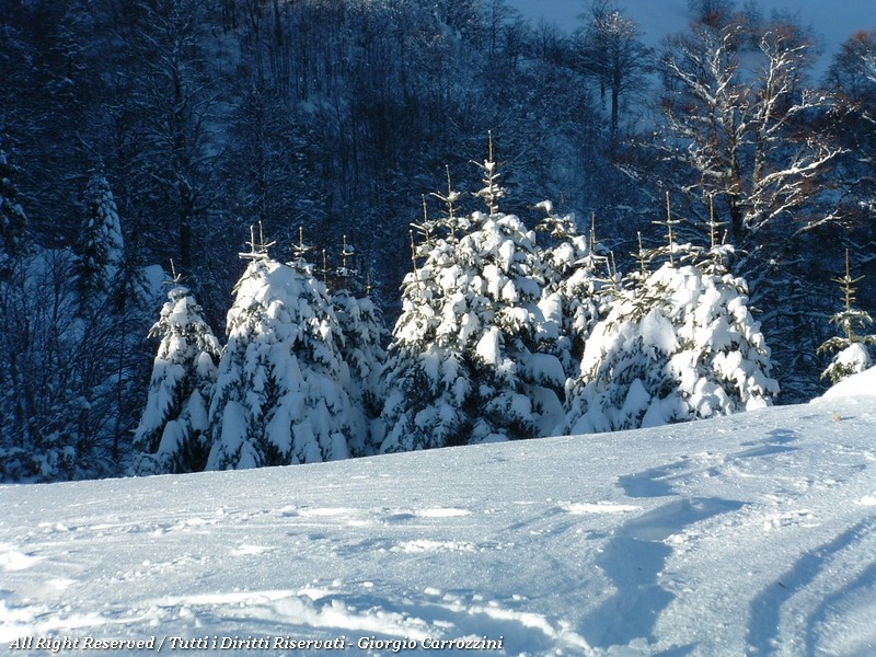 Le migliori foto dal 2004 al 2009