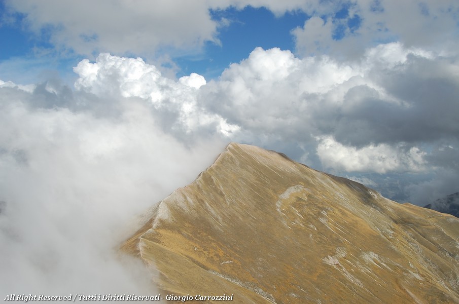 Le migliori foto dal 2004 al 2009