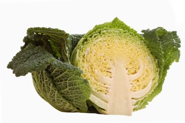 Cavolo Verza alla Tirolese