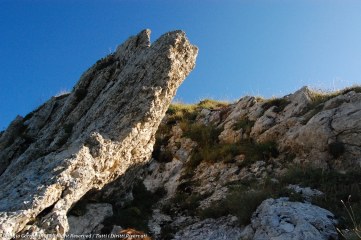 Escursione facile a Monte Acuto (2035 mt)