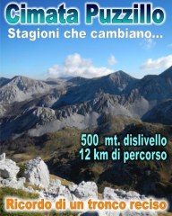 Ricordo di un tronco reciso
